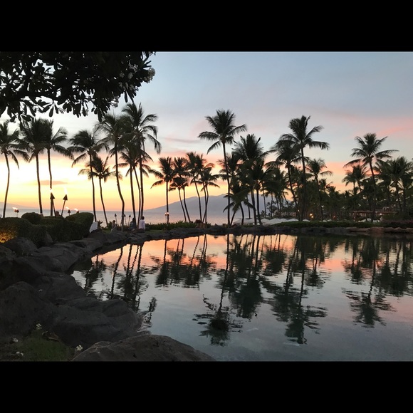 Meet your Posher, Bri - Picture 5 of 5